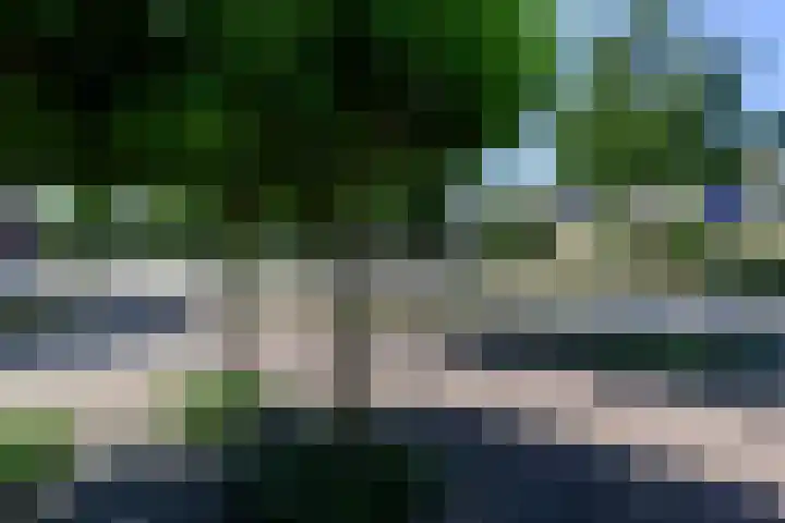 Kastanjelaan 2 Papendrecht thumbnail 31