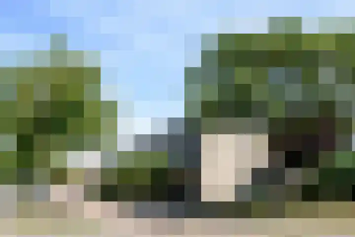 Kastanjelaan 2 Papendrecht thumbnail 32