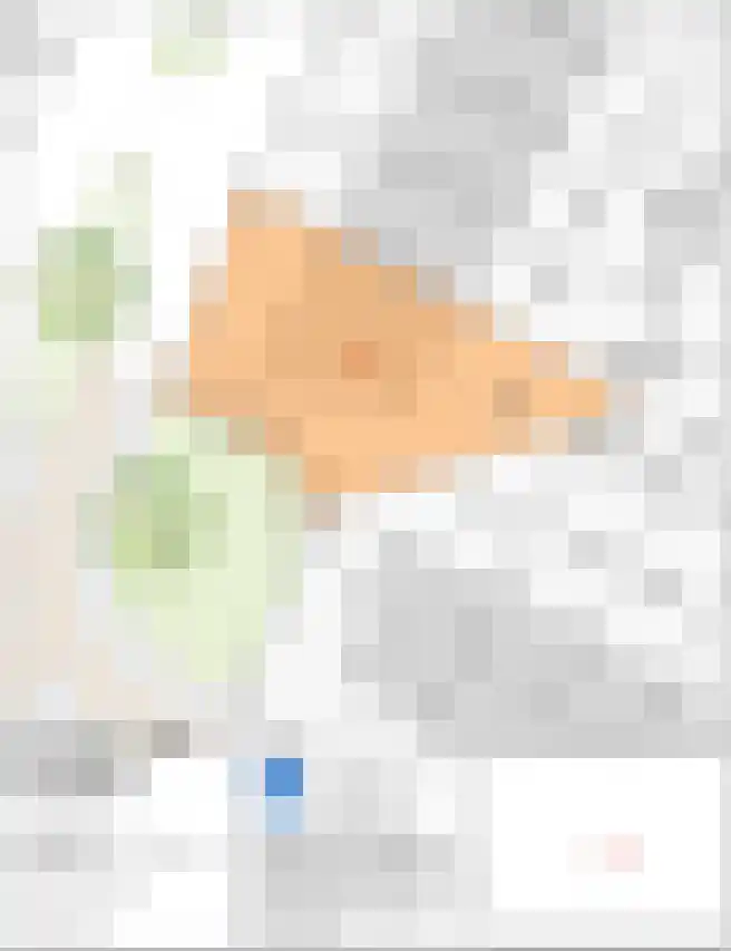 Kastanjelaan 2 Papendrecht thumbnail 5