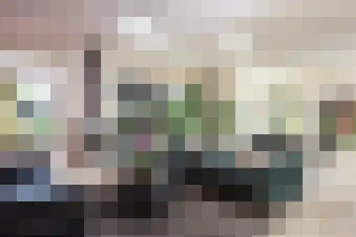 Kastanjelaan 2 Papendrecht thumbnail 7