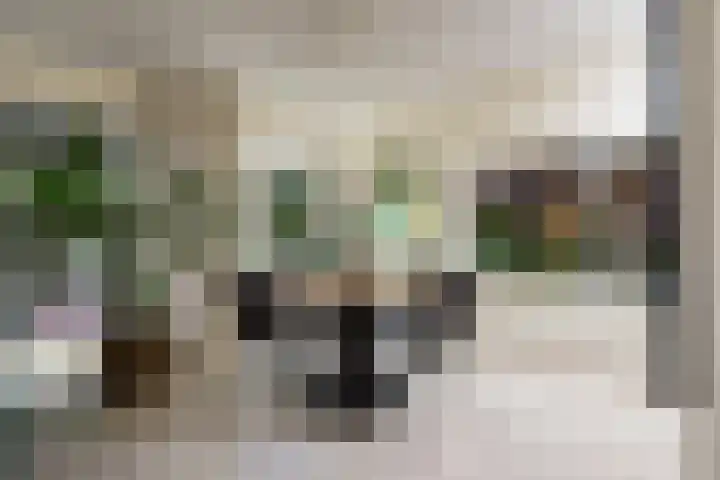 Kastanjelaan 2 Papendrecht thumbnail 9