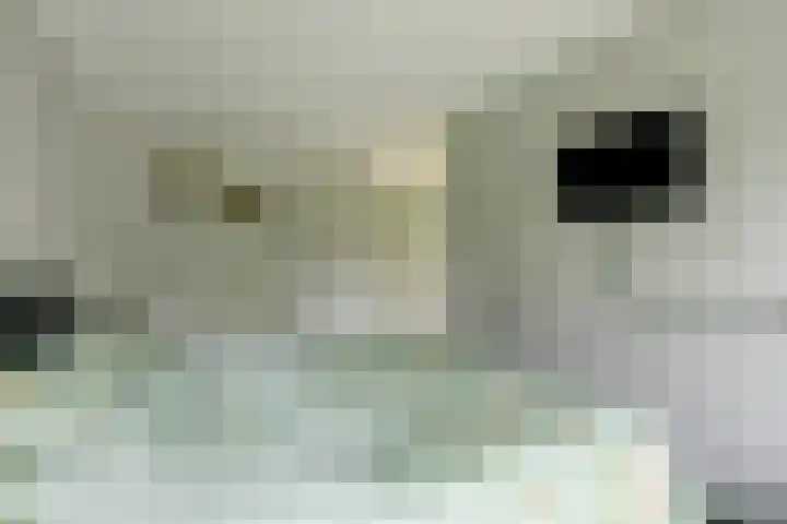Kastanjelaan 2 Steenderen thumbnail 12