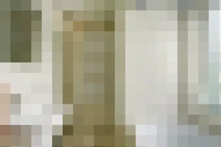 Kastanjelaan 2 Steenderen thumbnail 18