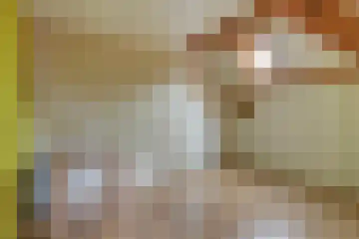Kastanjelaan 2 Steenderen thumbnail 21