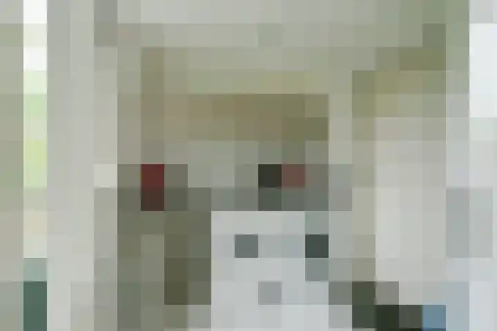 Kastanjelaan 2 Steenderen thumbnail 22