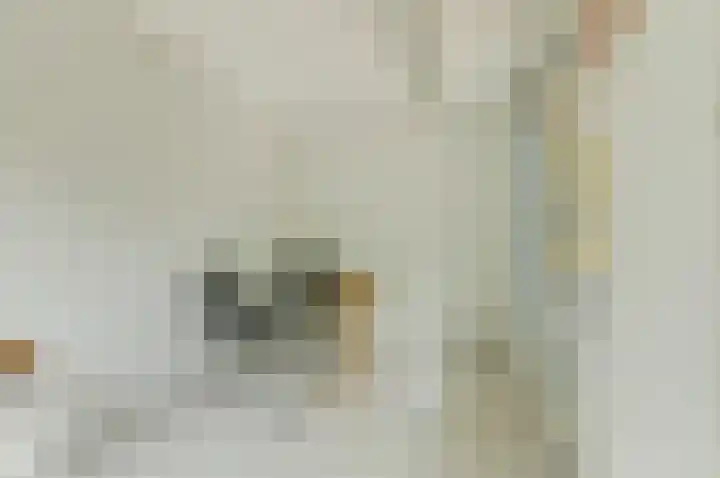 Kastanjelaan 2 Steenderen thumbnail 27
