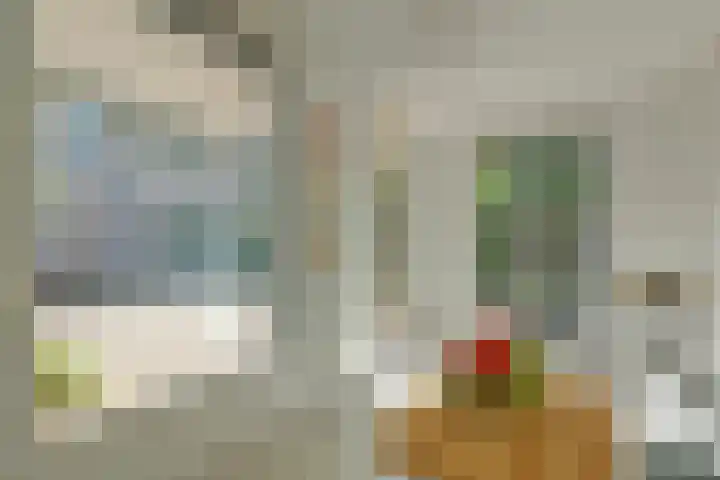 Kastanjelaan 2 Steenderen thumbnail 28