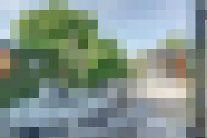 Kastanjelaan 2 Steenderen thumbnail 30
