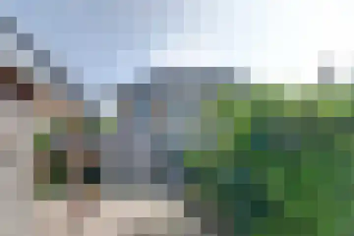 Kastanjelaan 2 Steenderen thumbnail 31