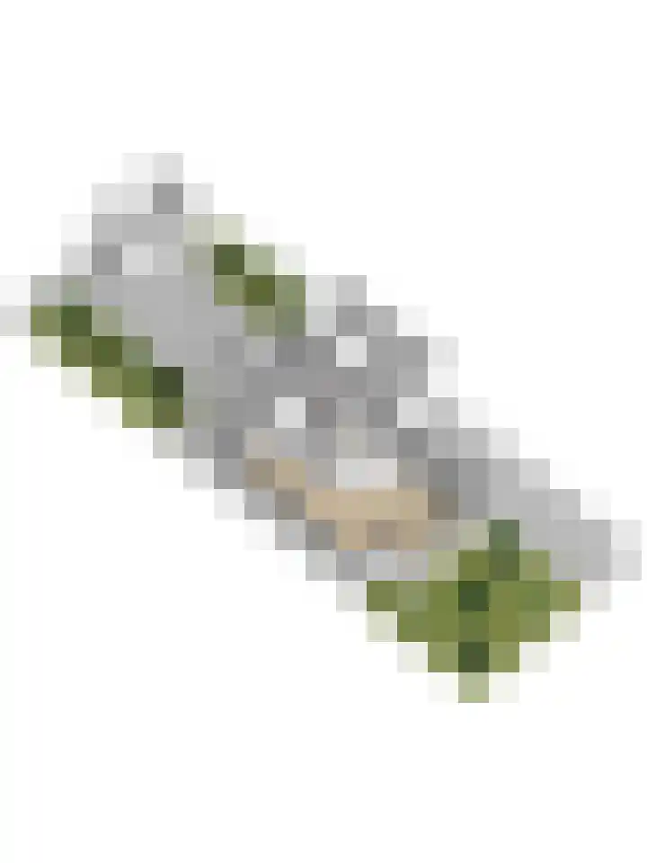 Kastanjelaan 2 Steenderen thumbnail 41