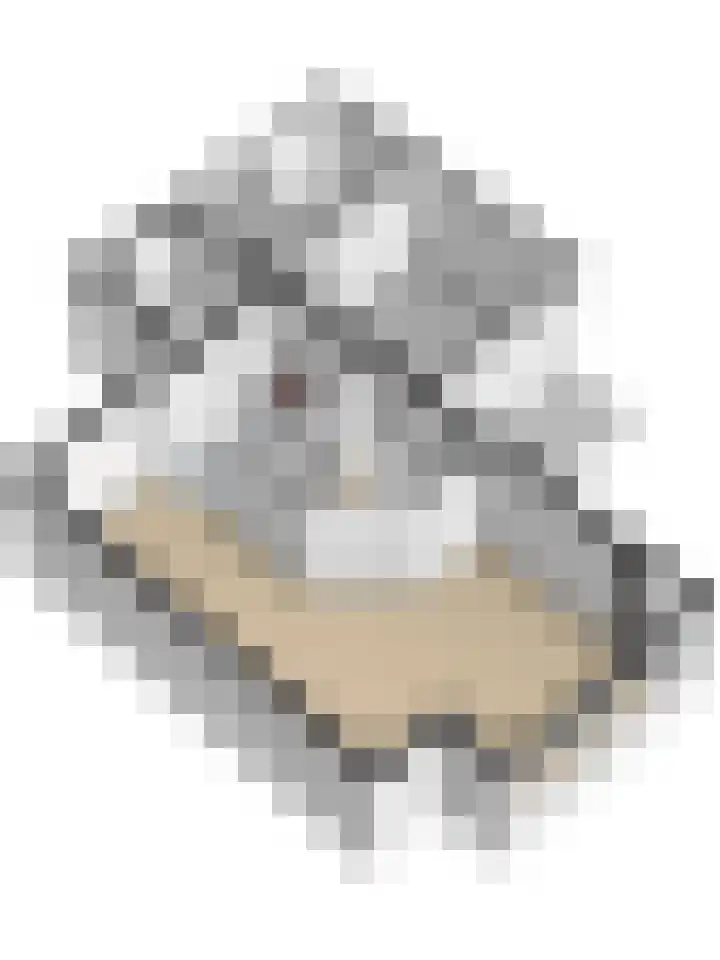 Kastanjelaan 2 Steenderen thumbnail 42