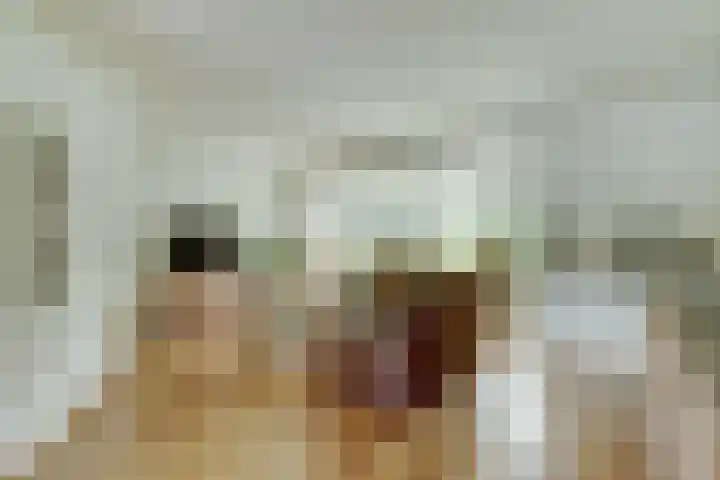 Kastanjelaan 2 Steenderen thumbnail 5