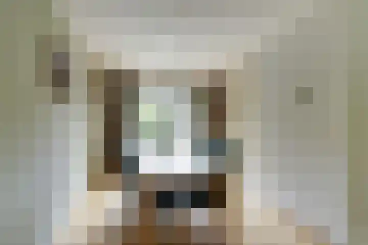 Kastanjelaan 2 Steenderen thumbnail 7