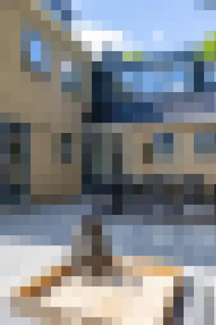 Kastanjelaan 2 Zuidlaren thumbnail 11