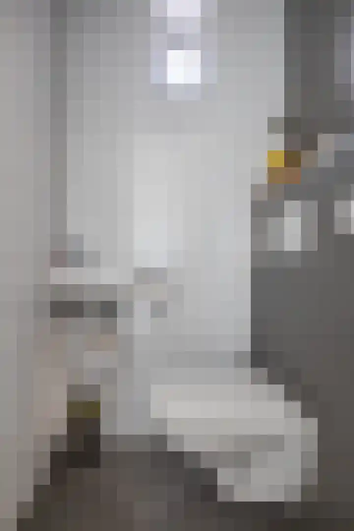 Kastanjelaan 2 Zuidlaren thumbnail 15