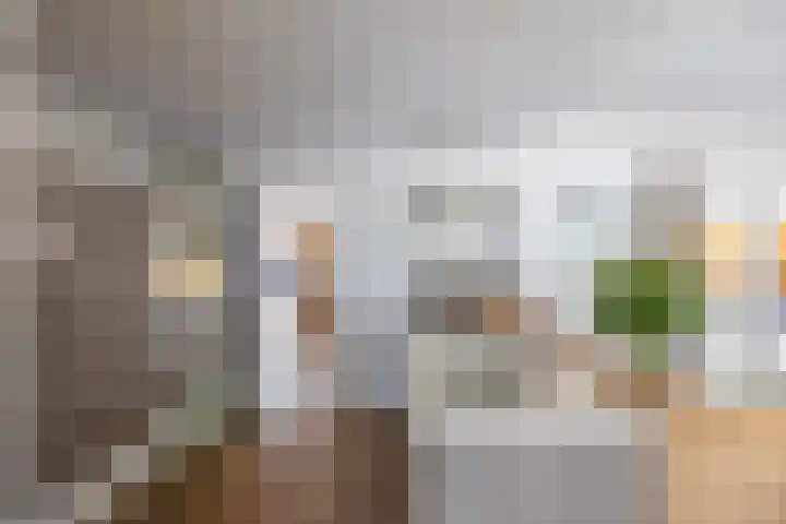 Kastanjelaan 2 Zuidlaren thumbnail 16