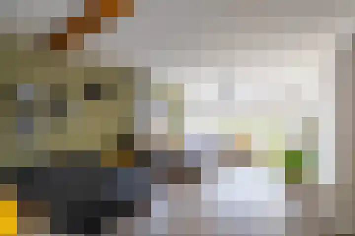 Kastanjelaan 2 Zuidlaren thumbnail 21