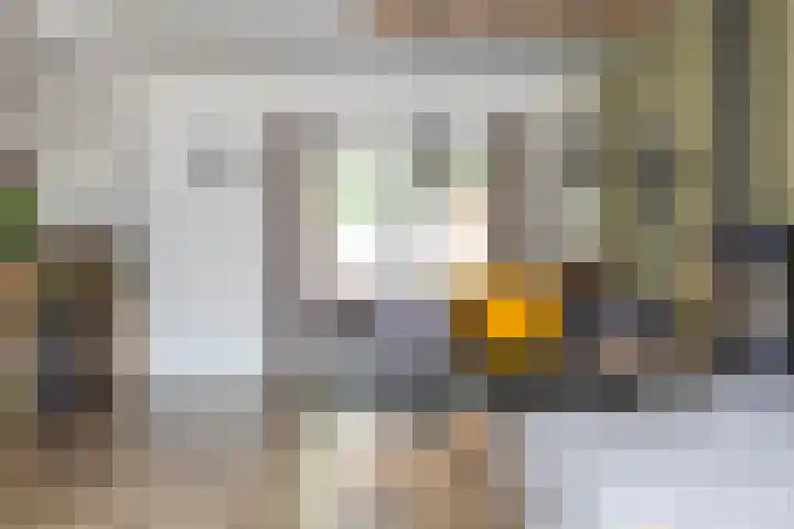 Kastanjelaan 2 Zuidlaren thumbnail 23