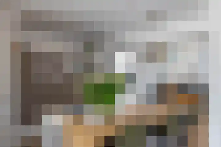 Kastanjelaan 2 Zuidlaren thumbnail 24