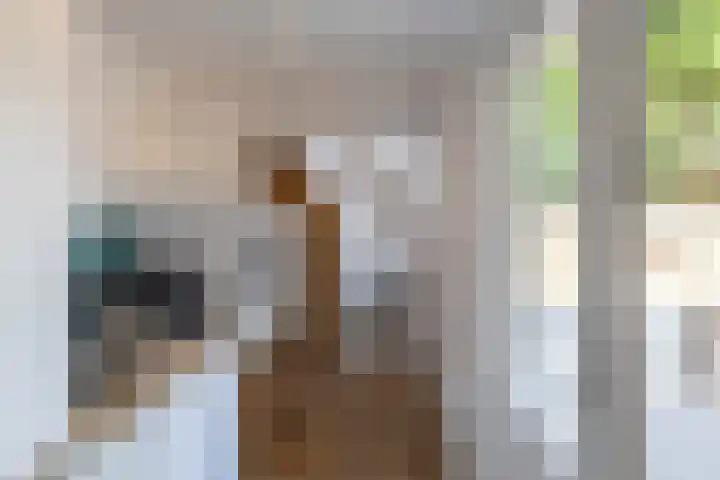 Kastanjelaan 2 Zuidlaren thumbnail 26
