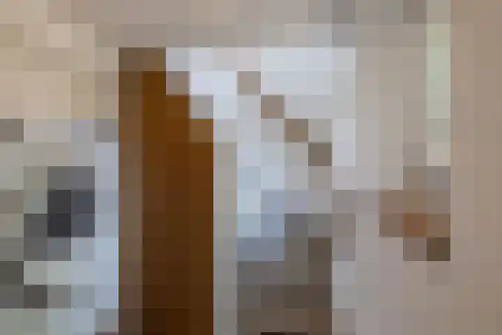 Kastanjelaan 2 Zuidlaren thumbnail 27