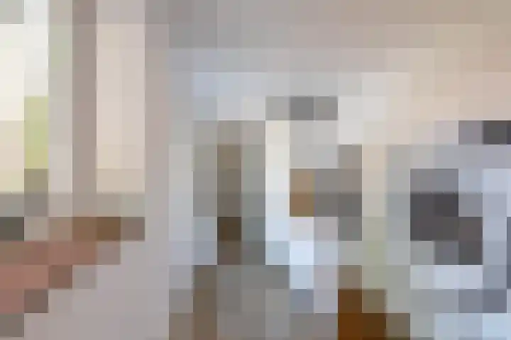Kastanjelaan 2 Zuidlaren thumbnail 28