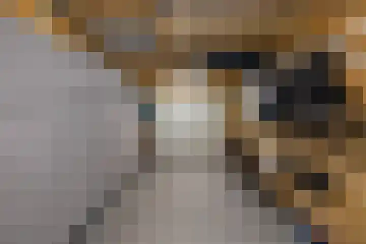 Kastanjelaan 2 Zuidlaren thumbnail 29
