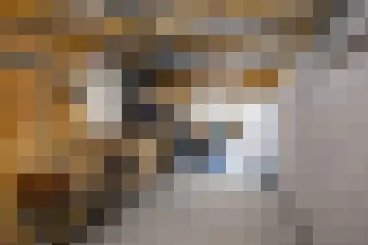 Kastanjelaan 2 Zuidlaren thumbnail 30