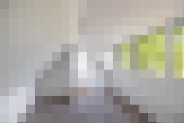 Kastanjelaan 2 Zuidlaren thumbnail 33