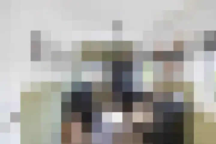 Kastanjelaan 2 Zuidlaren thumbnail 37