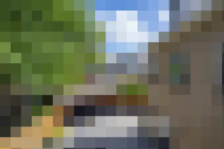Kastanjelaan 2 Zuidlaren thumbnail 39