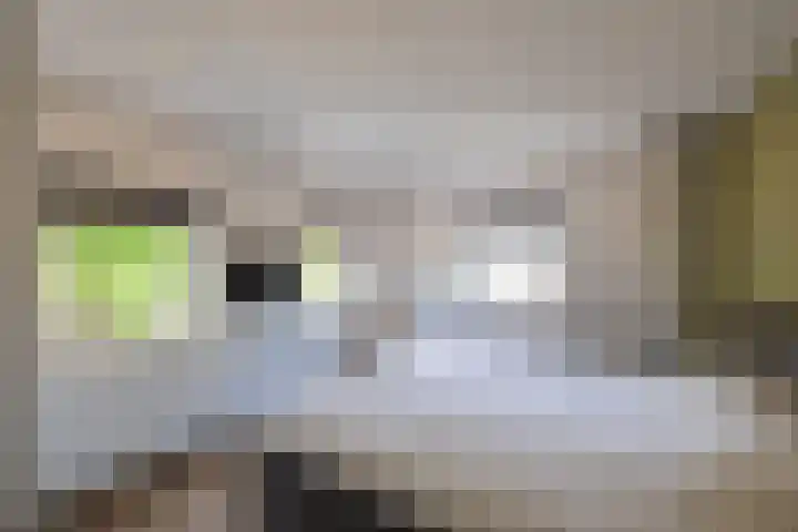 Kastanjelaan 2 Zuidlaren thumbnail 40