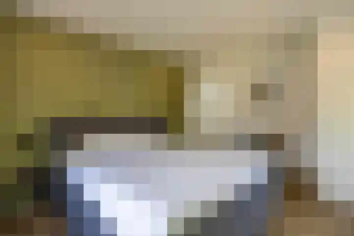 Kastanjelaan 2 Zuidlaren thumbnail 41