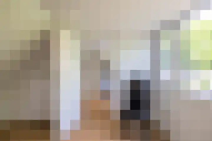 Kastanjelaan 2 Zuidlaren thumbnail 48