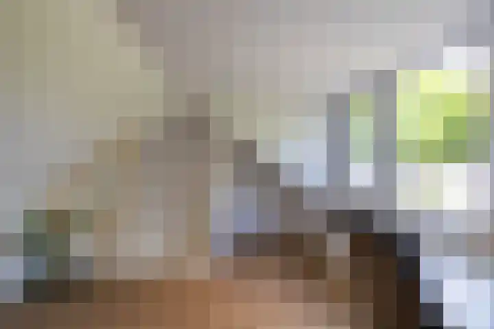 Kastanjelaan 2 Zuidlaren thumbnail 49