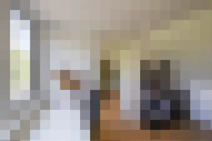 Kastanjelaan 2 Zuidlaren thumbnail 50