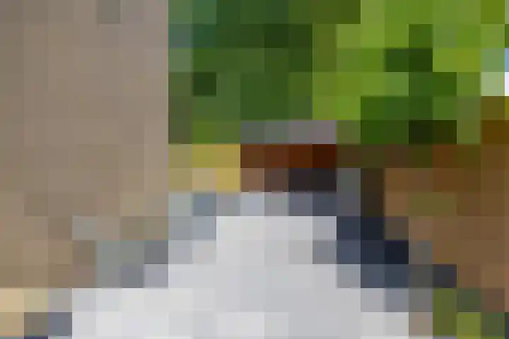 Kastanjelaan 2 Zuidlaren thumbnail 8