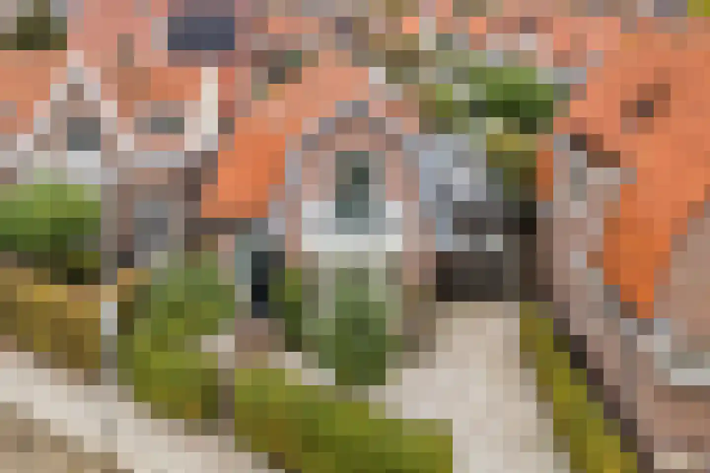 Kastanjelaan 20 in Meppel