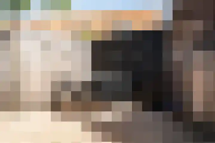 Kastanjelaan 20 Heemstede thumbnail 14