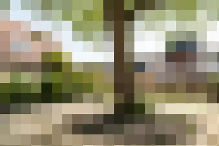 Kastanjelaan 20 Heemstede thumbnail 16