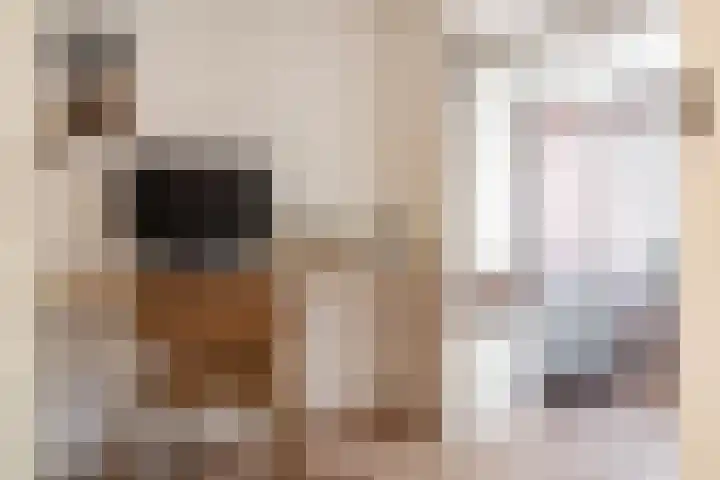 Kastanjelaan 20 Heemstede thumbnail 20