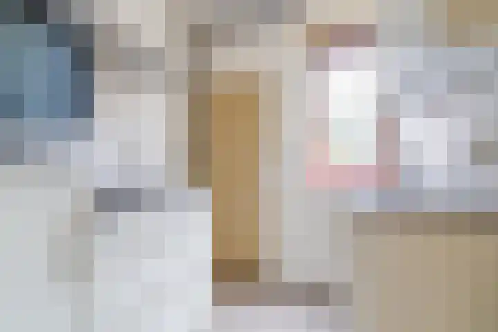 Kastanjelaan 20 Zuid-Scharwoude thumbnail 14