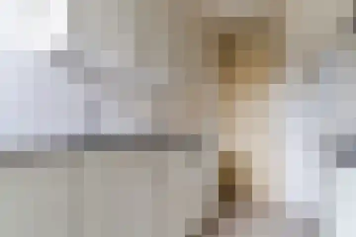 Kastanjelaan 20 Zuid-Scharwoude thumbnail 16