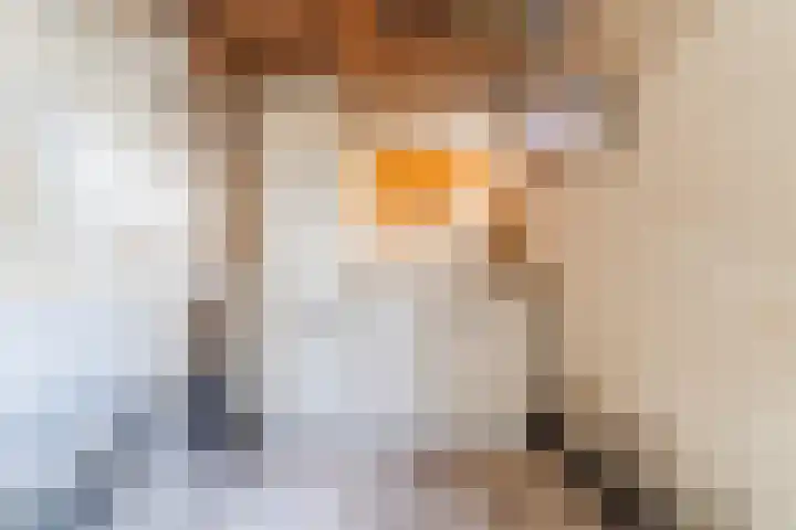 Kastanjelaan 20 Zuid-Scharwoude thumbnail 17