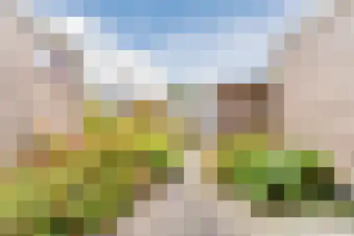 Kastanjelaan 20 Zuid-Scharwoude thumbnail 36