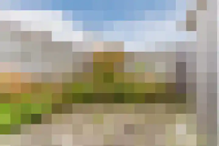 Kastanjelaan 20 Zuid-Scharwoude thumbnail 37