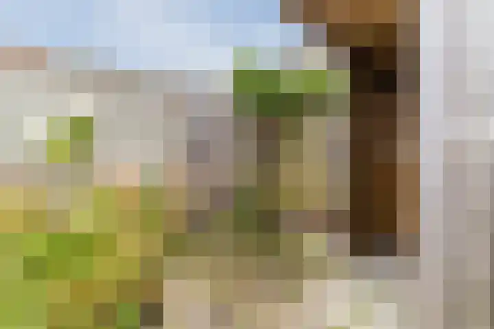 Kastanjelaan 20 Zuid-Scharwoude thumbnail 38