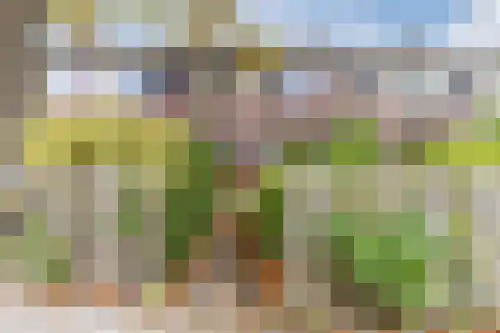 Kastanjelaan 20 Zuid-Scharwoude thumbnail 4
