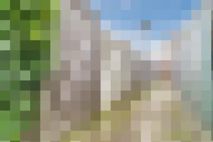 Kastanjelaan 20 Zuid-Scharwoude thumbnail 41