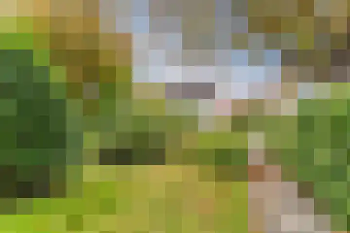 Kastanjelaan 20 Zuid-Scharwoude thumbnail 6